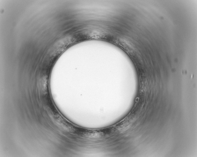 X0000088640646200706221547