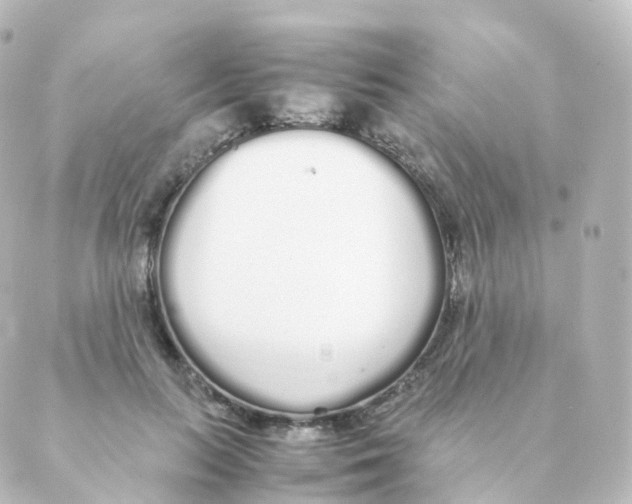 X0000088640647200706221547