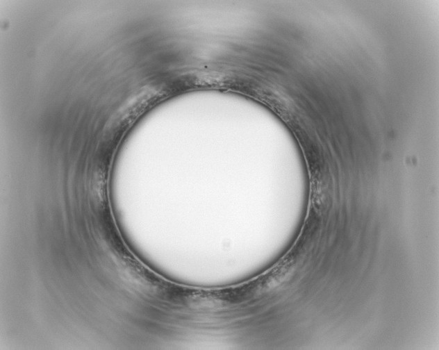 X0000088640648200706221547