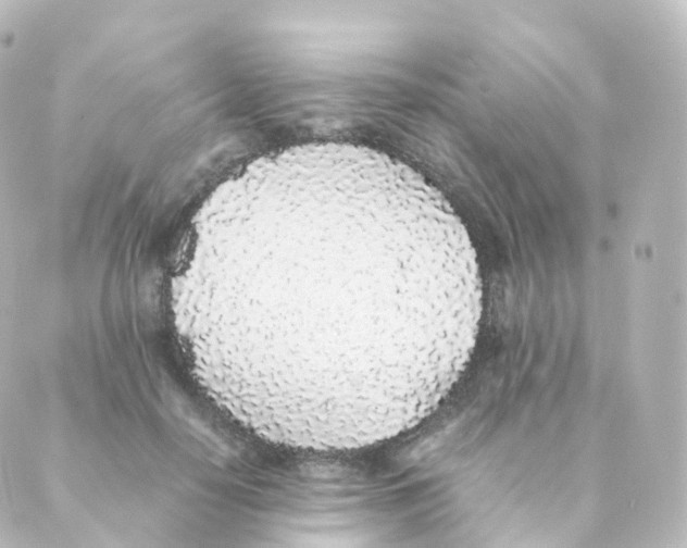 X0000088640650200706221547