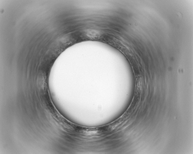 X0000088640651200706221547