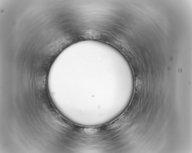 X0000088640652200706221547