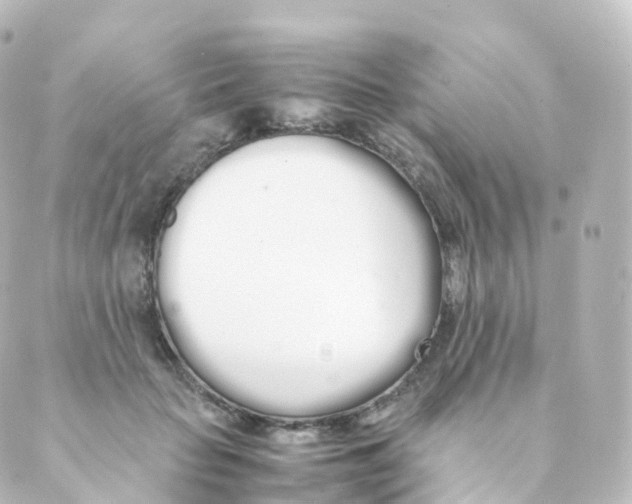 X0000088640653200706221547