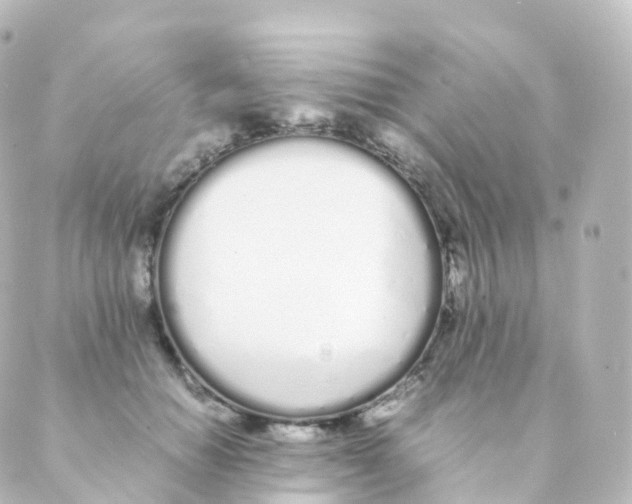 X0000088640654200706221547