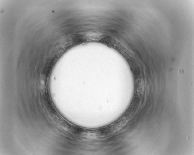 X0000088640655200706221547