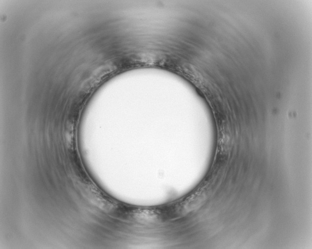 X0000088640656200706221547