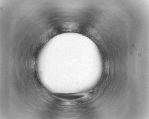 X0000088640657200706221547