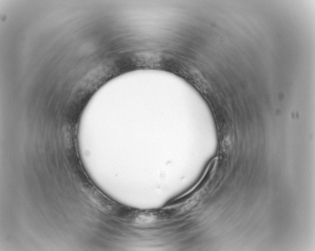 X0000088640658200706221547