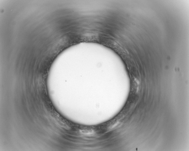 X0000088640659200706221547