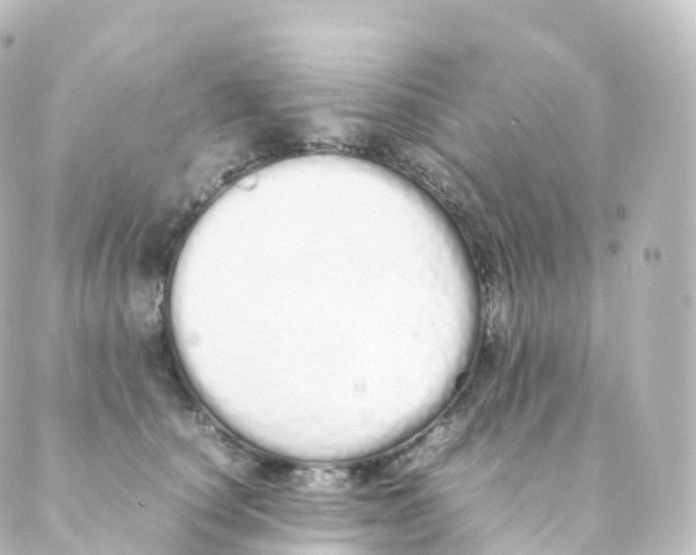 X0000088640660200706221547