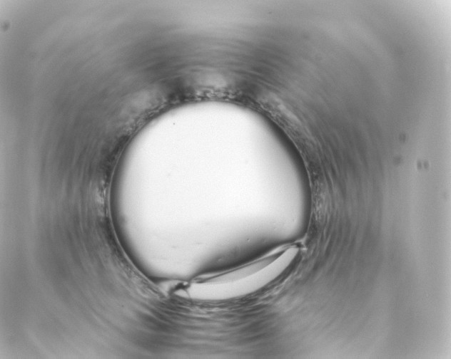 X0000088640661200706221547