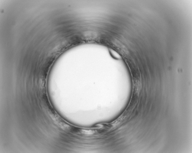 X0000088640662200706221547