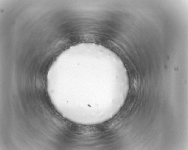 X0000088640663200706221547