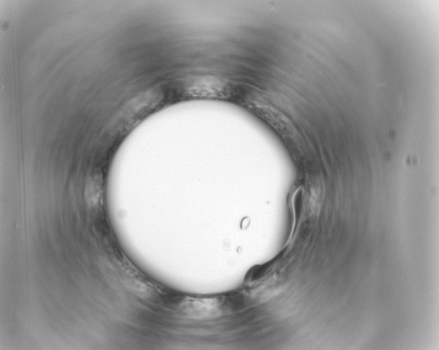 X0000088640665200706221547