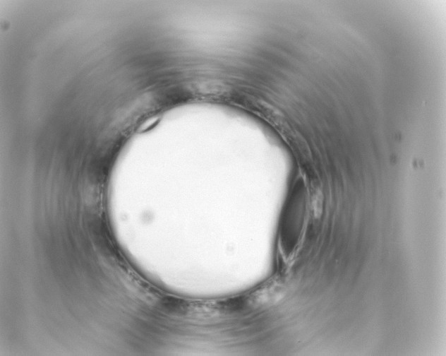 X0000088640666200706221547