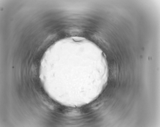 X0000088640667200706221547