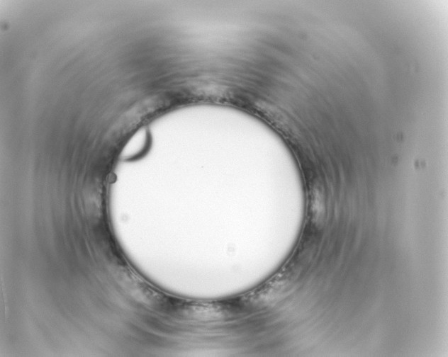 X0000088640668200706221547