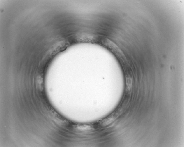 X0000088640669200706221547