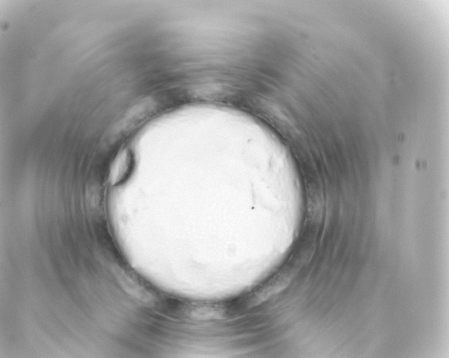 X0000088640670200706221547