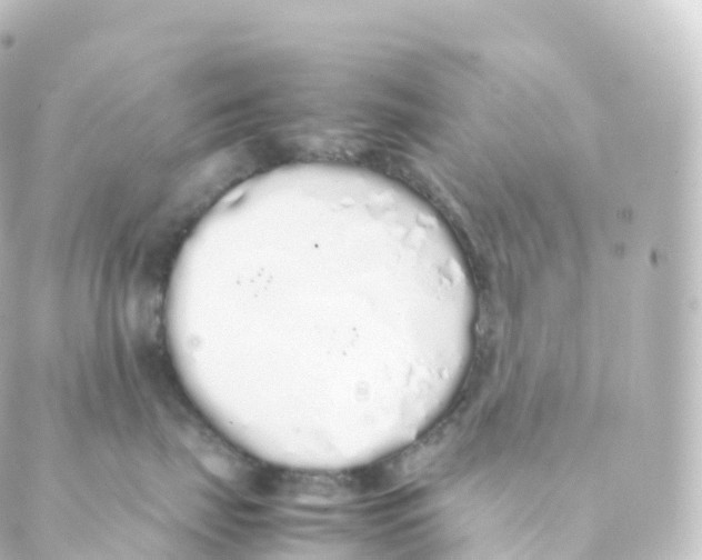 X0000088640671200706221547