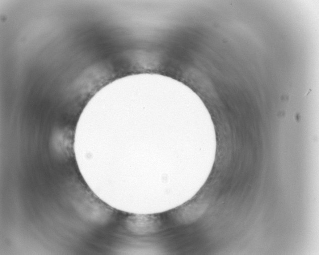 X0000088640672200706221547