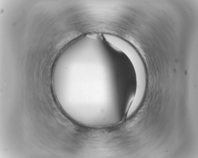 X0000088640673200706221546