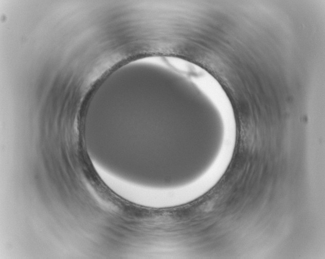 X0000088640674200706221546