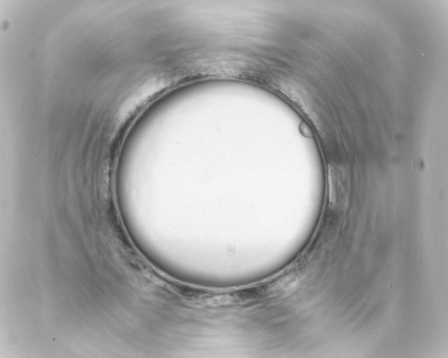 X0000088640675200706221546