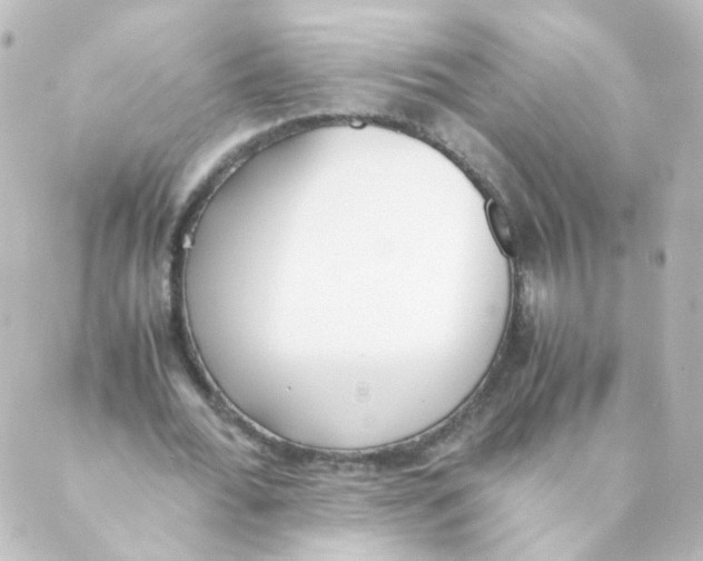 X0000088640676200706221546