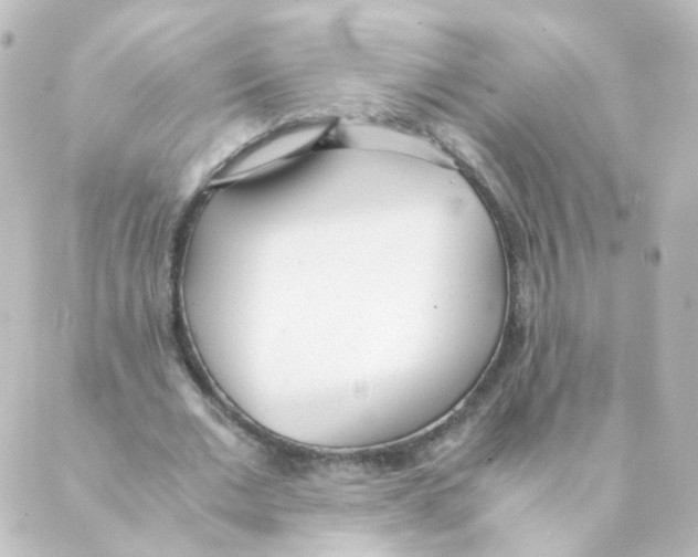 X0000088640677200706221546