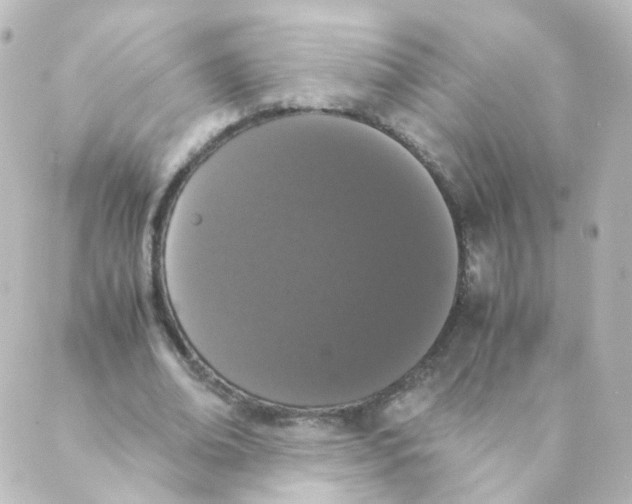 X0000088640678200706221546