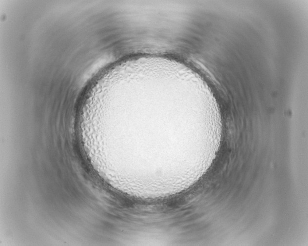 X0000088640679200706221546