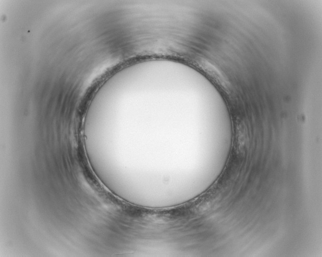 X0000088640680200706221546