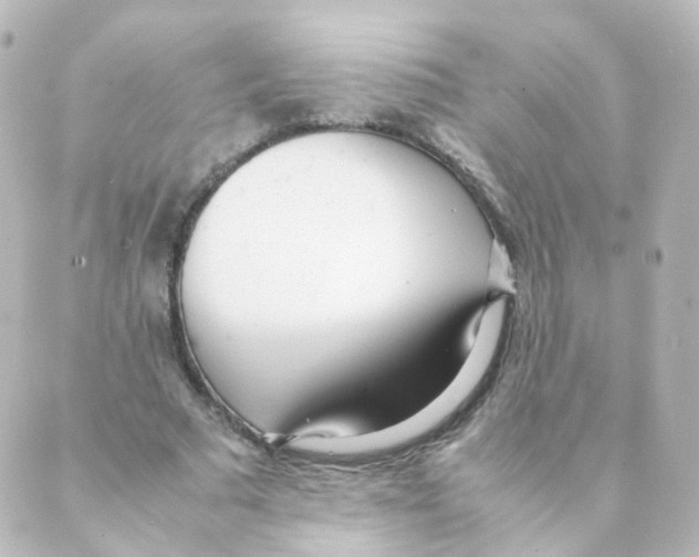 X0000088640681200706221546