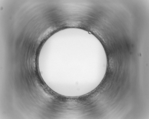 X0000088640682200706221546