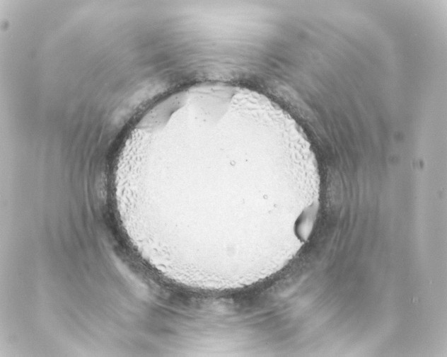 X0000088640683200706221546