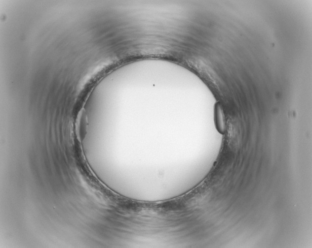 X0000088640684200706221546