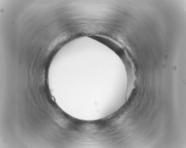 X0000088640685200706221546