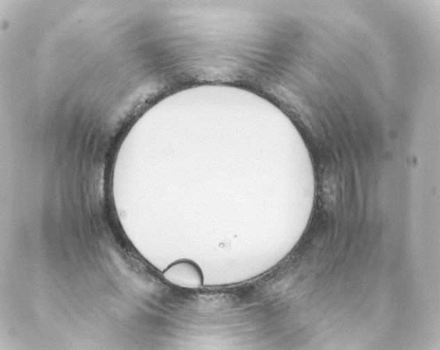 X0000088640686200706221546