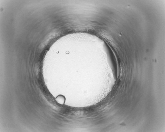 X0000088640687200706221546