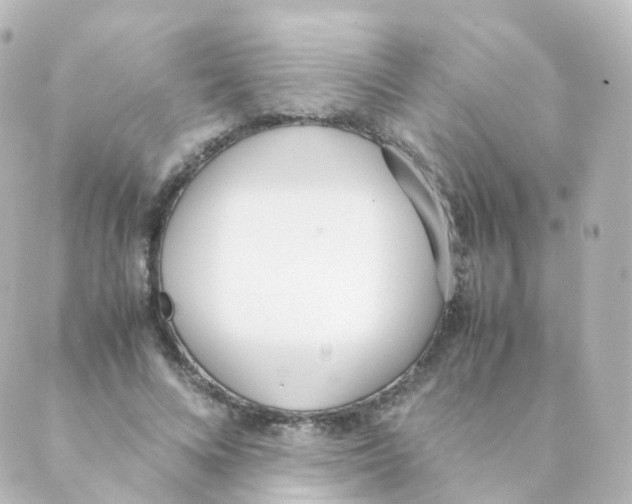 X0000088640688200706221546