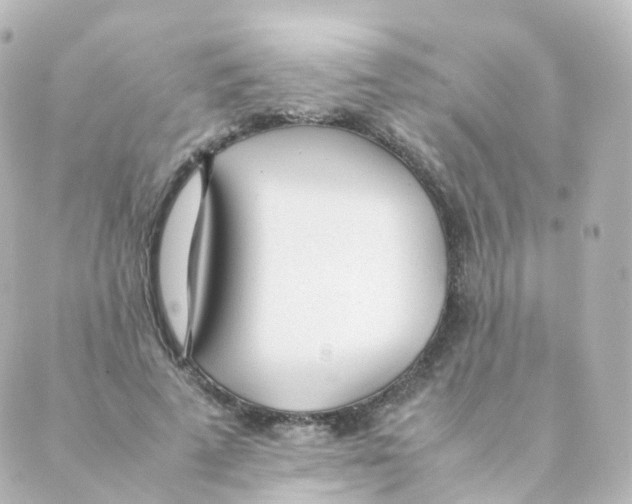 X0000088640689200706221546