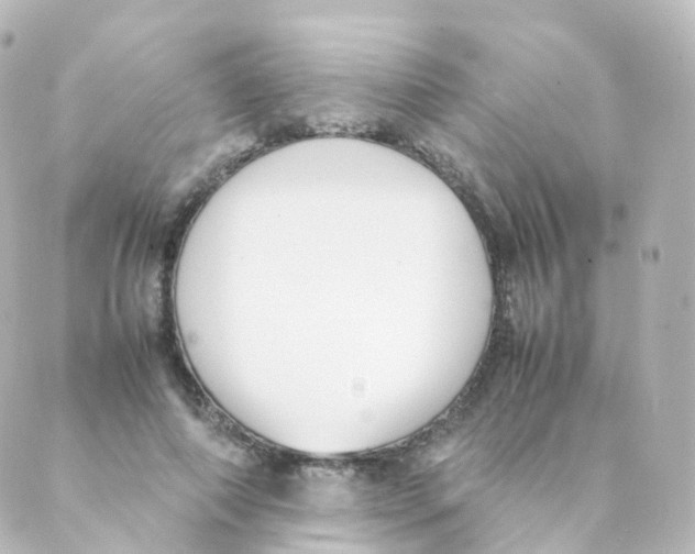 X0000088640690200706221546