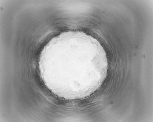 X0000088640691200706221546