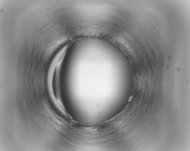 X0000088640692200706221546