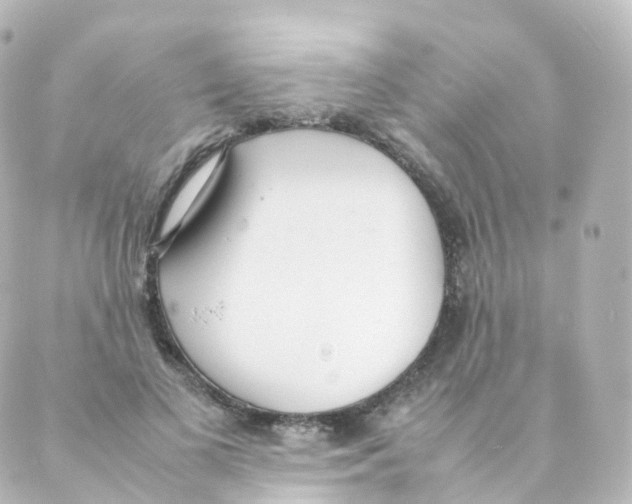 X0000088640693200706221546