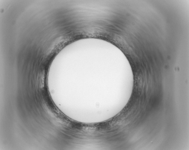 X0000088640694200706221546