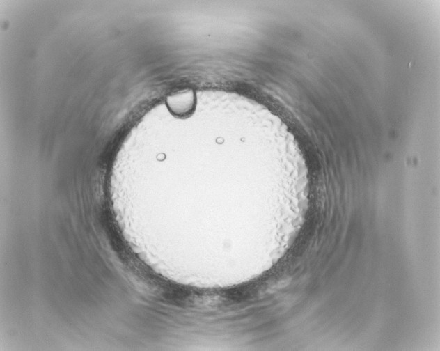 X0000088640695200706221546