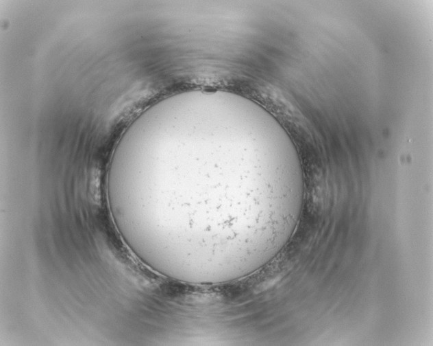 X0000088640696200706221546