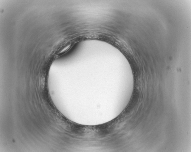 X0000088640697200706221546